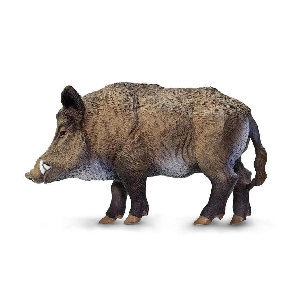 Safari Ltd. - Boar Kids Toy Figure