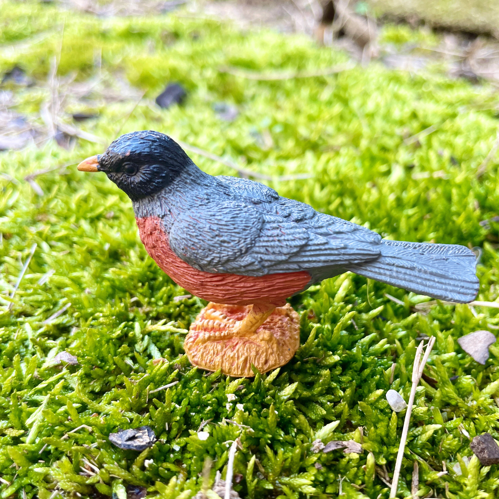 Safari Ltd. - Backyard Birds TOOB - contains 7 Mini Figurines