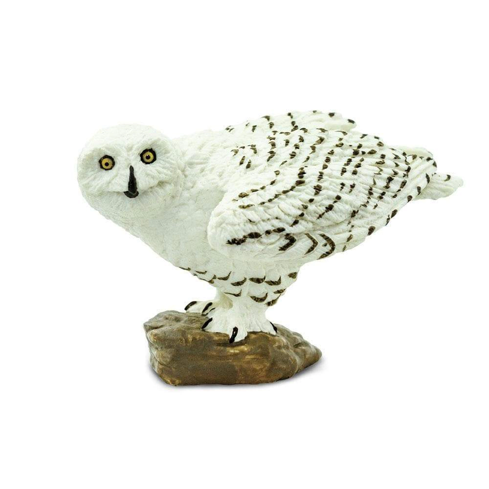 Safari Ltd. - Snowy Owl Kids Toy Figure