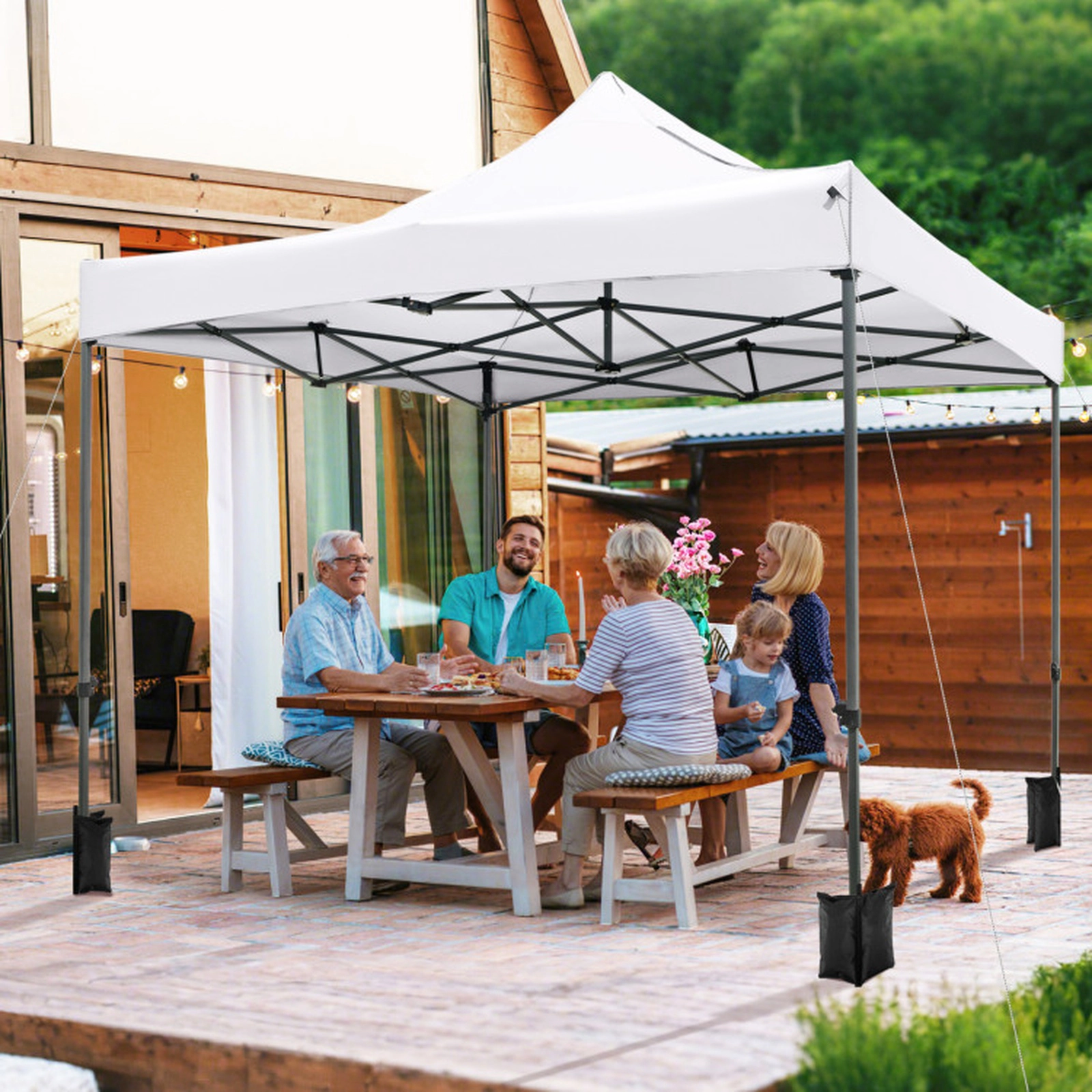 SUGIFT White 10-ft by 10-ft 420D Oxford Pop Up Canopy Tent with Carbon Metal Truss Frame and Wheeled Bag