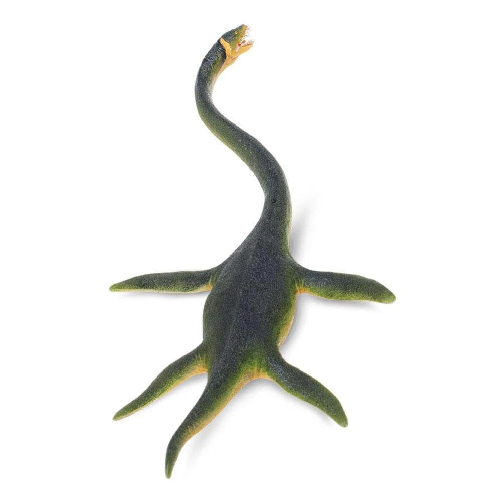Safari Ltd. - Elasmosaurus Kids Prehistoric/Dinosaur Toy Figure