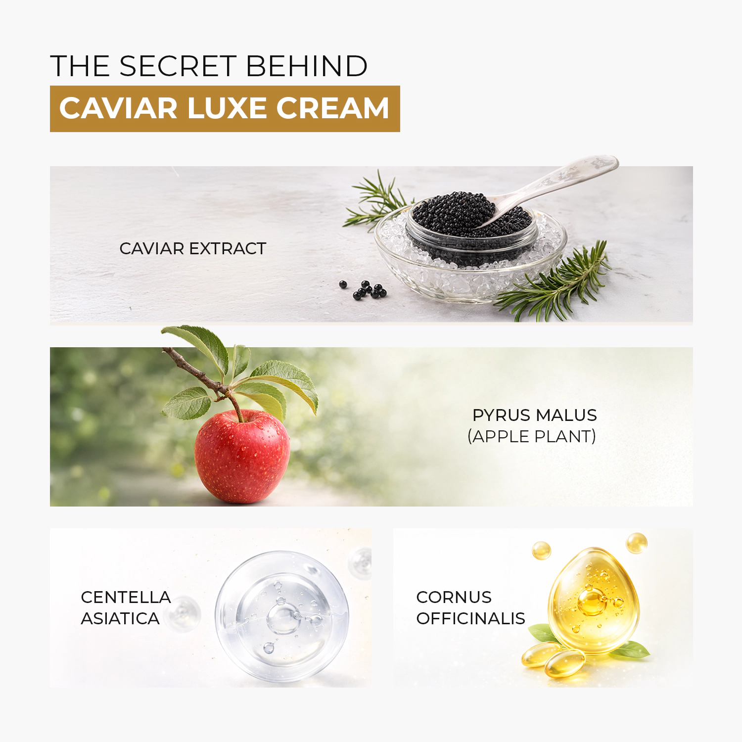 Skin Centrick Caviar Luxe Cream – Firming & Hydrating Face Moisturizer