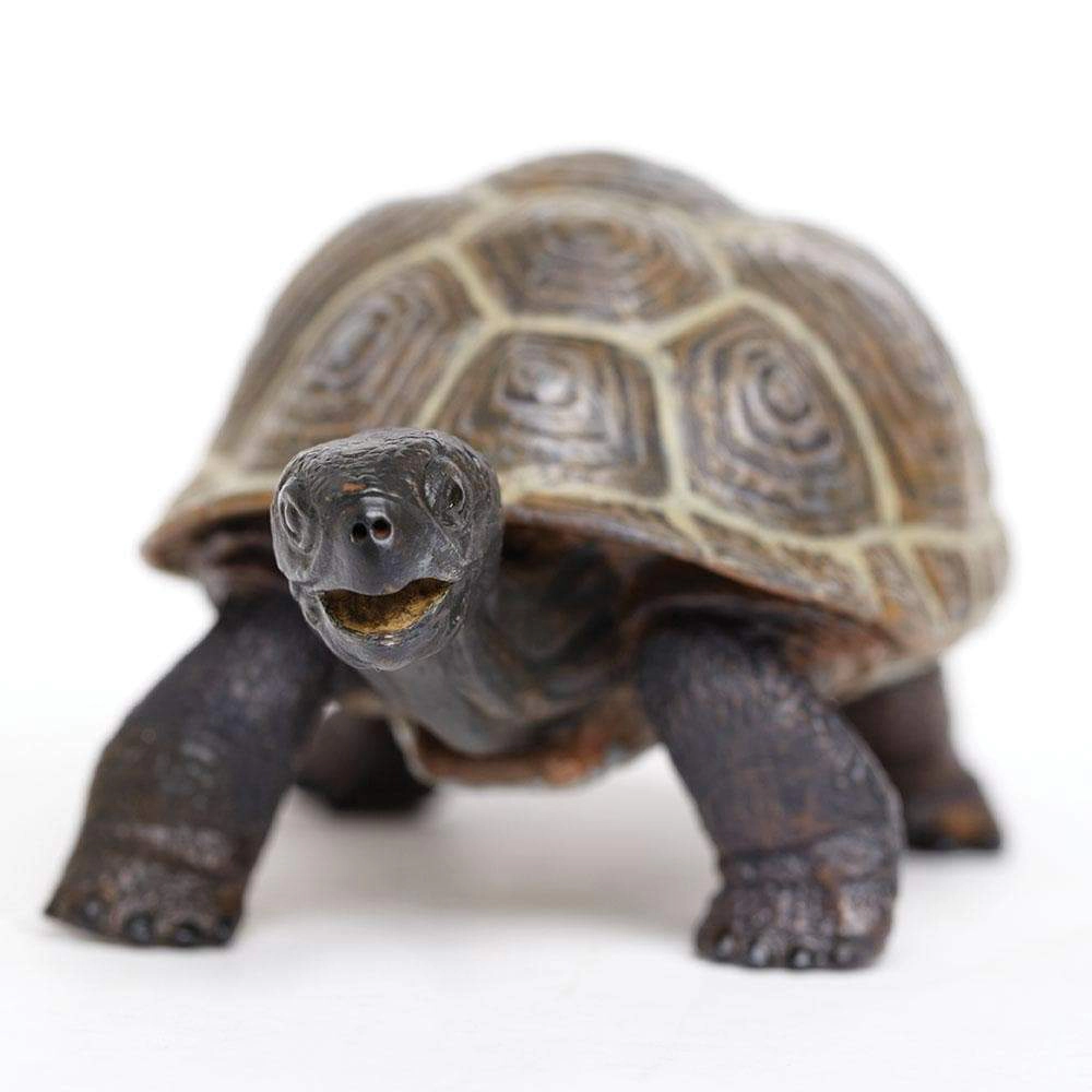 Safari Ltd. - Tortoise Baby Kids Toy Figure