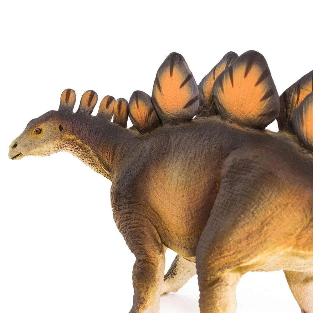 Safari Ltd. - Stegosaurus Kids Prehistoric/Dinosaur Toy Figure