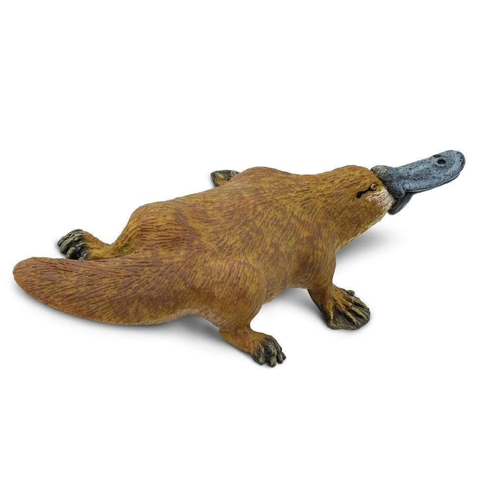 Safari Ltd. - Platypus Kids Toy Figure