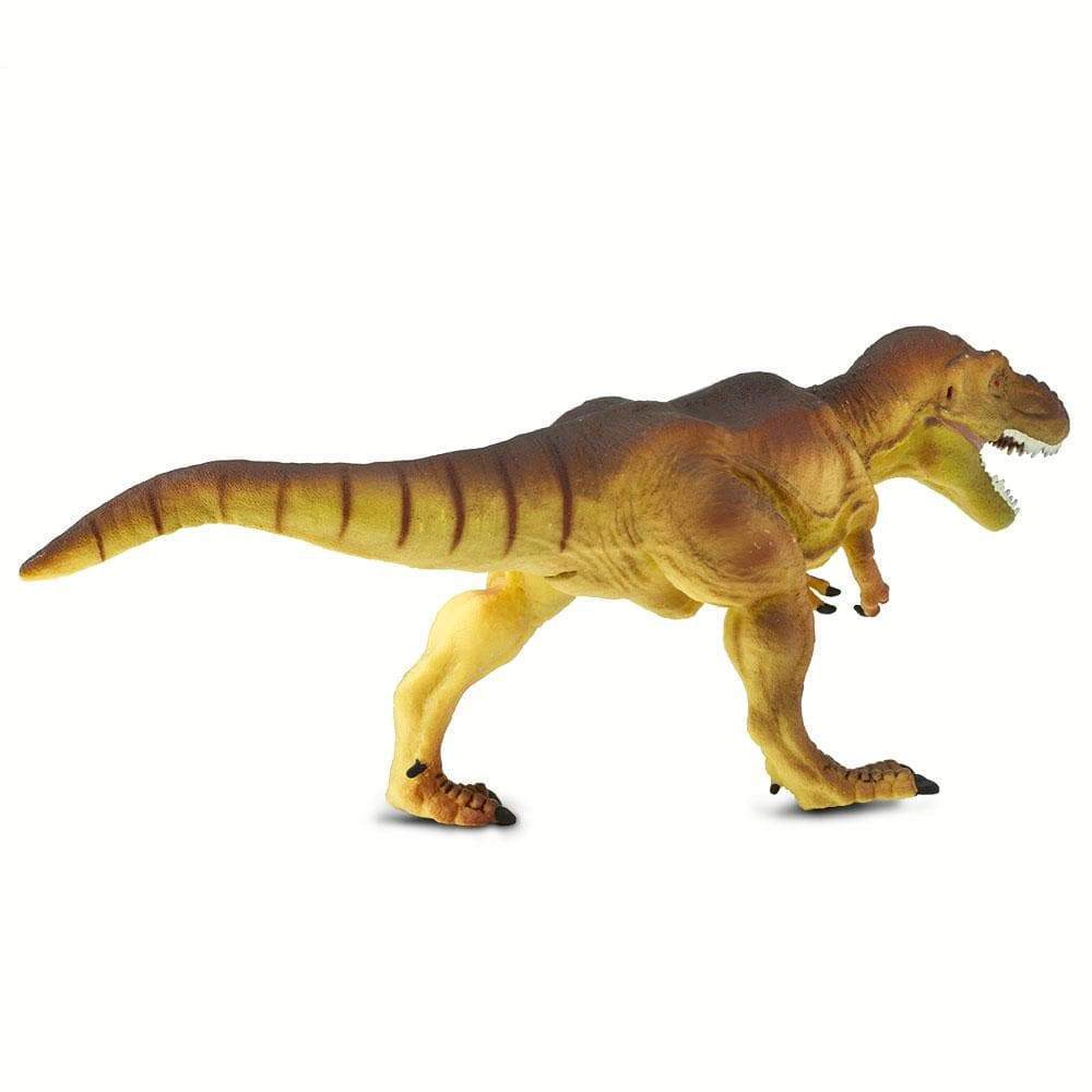 Safari Ltd. - Tyrannosaurus Rex Kids Prehistoric/Dinosaur Toy Figure