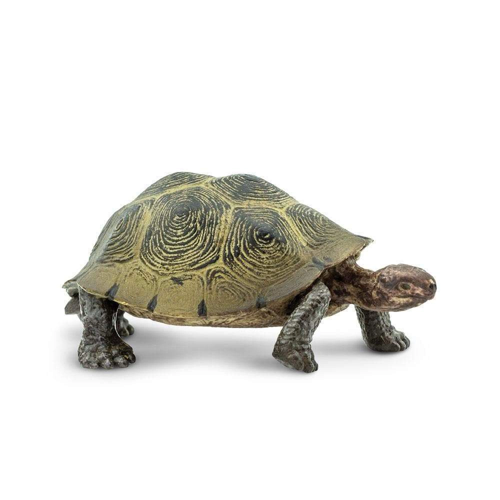 Safari Ltd. - Desert Tortoise Kids Toy Figure