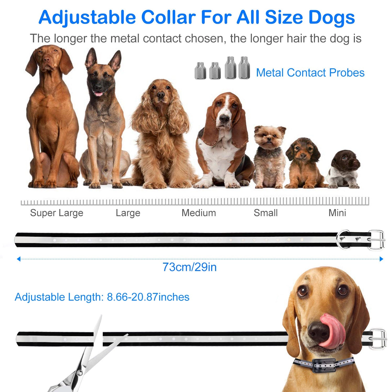 GBruno Rechargeable Dog Training Collar Receiver