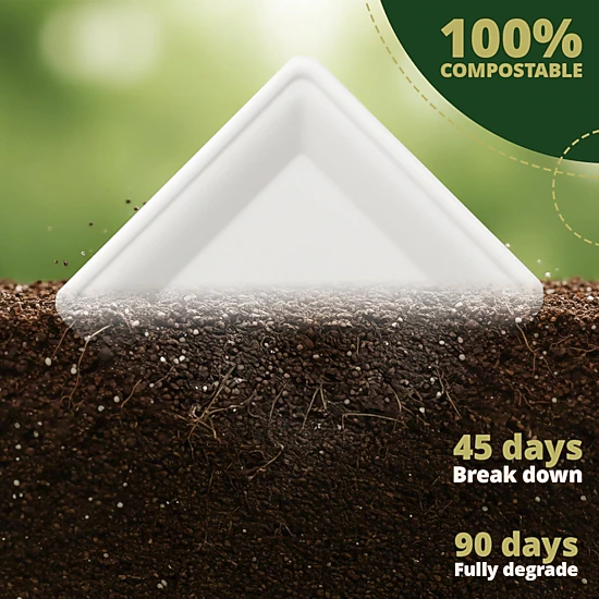 Naturawave Heavy-Duty Compostable Square Paper Plates, 10-Inch, 125 ...