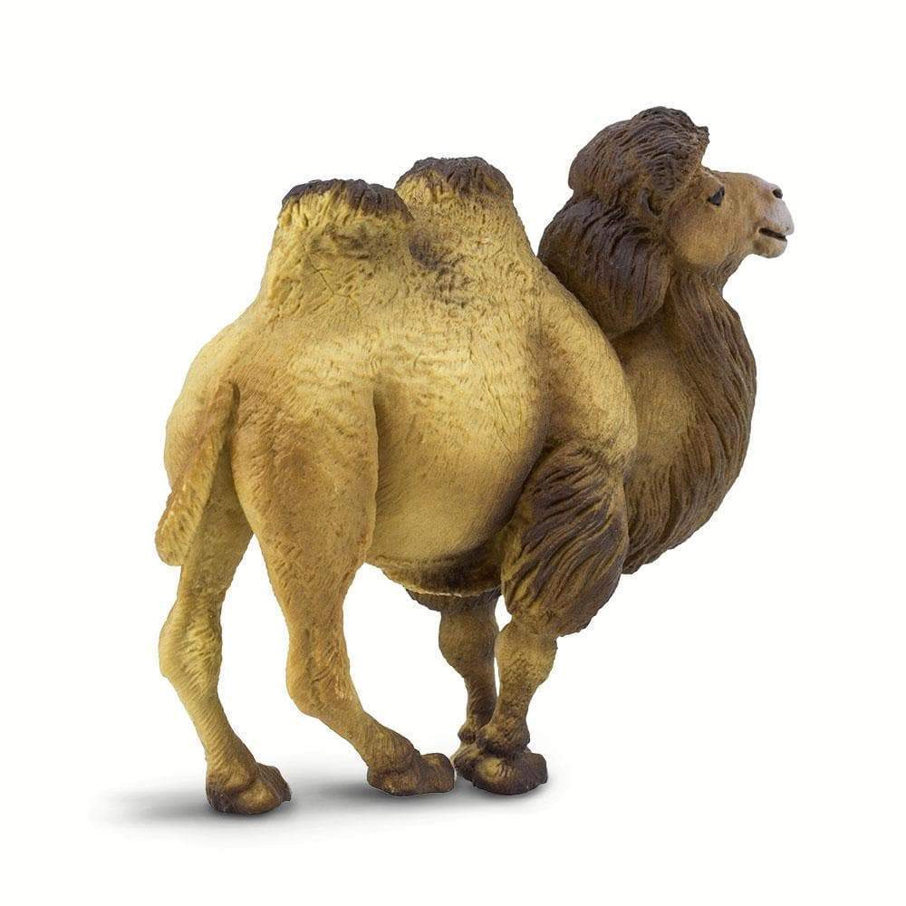 Safari Ltd. - Bactrian Camel Kids Toy Figure