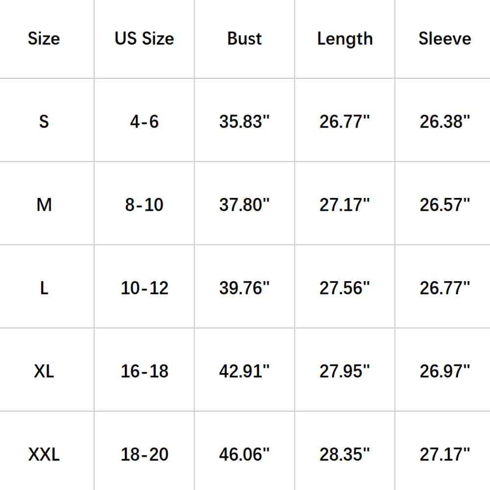 Women's Crewneck Curved Hem Loose Fit Long Sleeve Pullover Sweater Tops