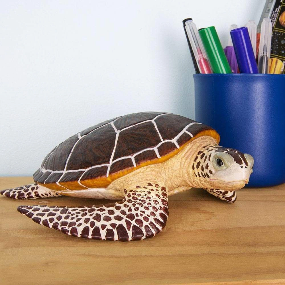 Safari Ltd. - Sea Turtle Kids Toy Figure