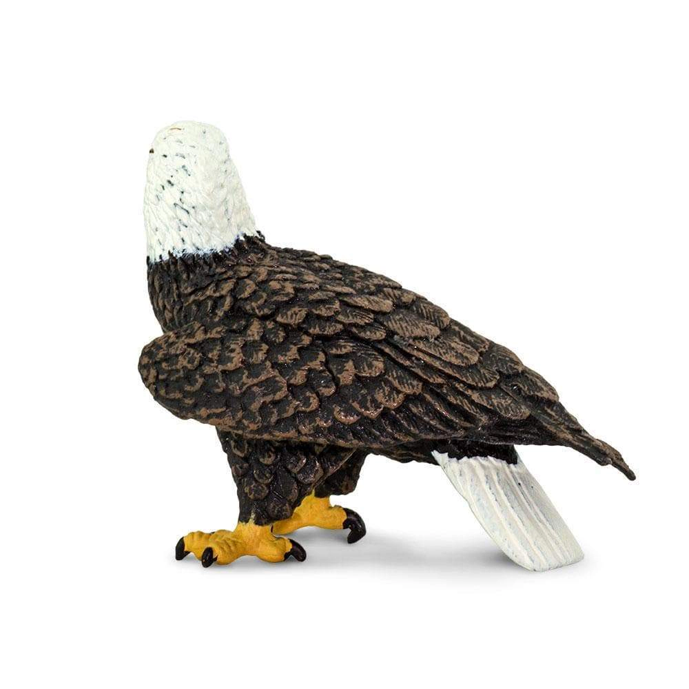 Safari Ltd. - Bald Eagle Kids Toy Figure
