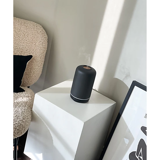 Bursera Ash Essential Oil Diffuser, Black Ceramic, Matte Finish, Color ...