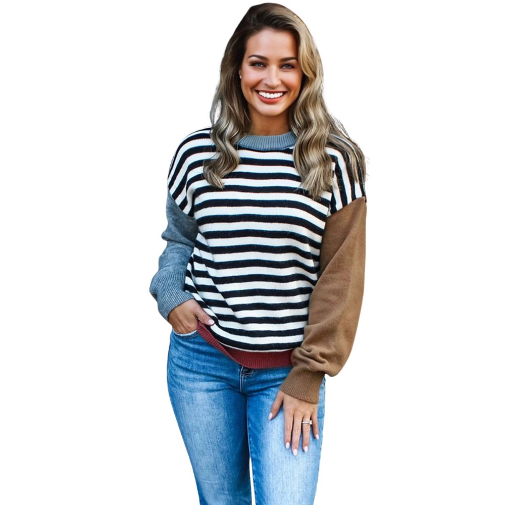 Sol Living Womens Striped Panels Colorblock Sleeve Chic Sweater