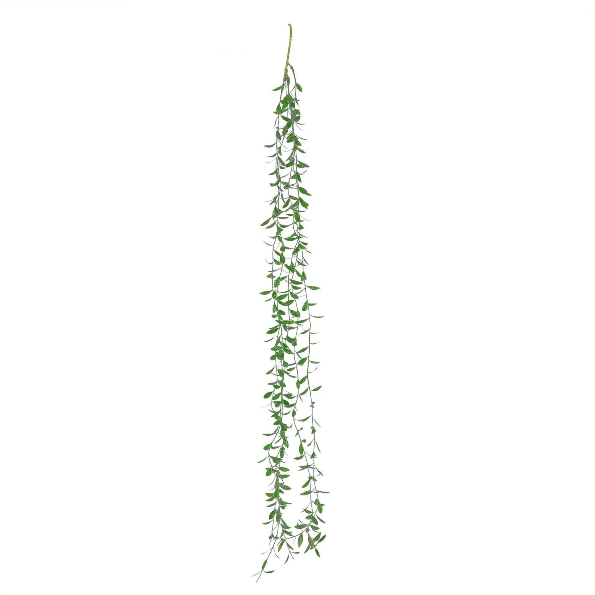 Home Collection Pack of 10 Artificial Weeping Willow Hanging Vines with Green Leaves