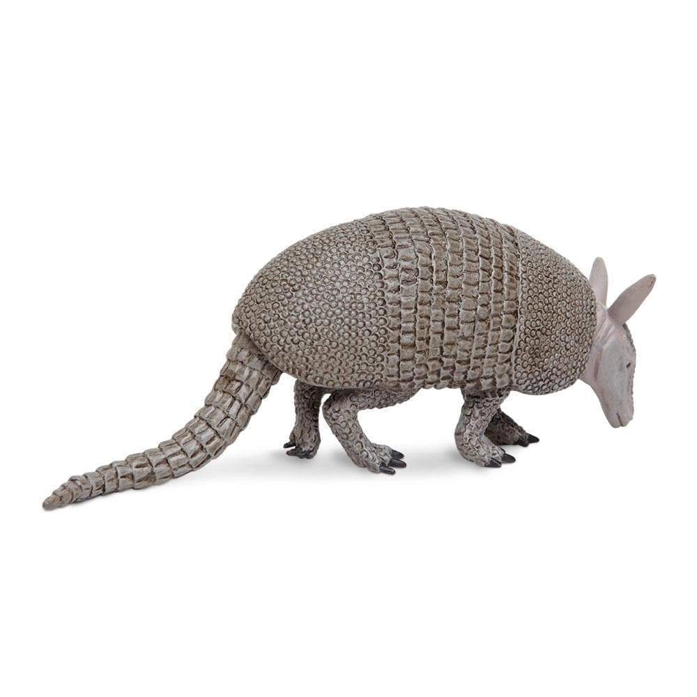 Safari Ltd. - Armadillo Kids Toy Figure