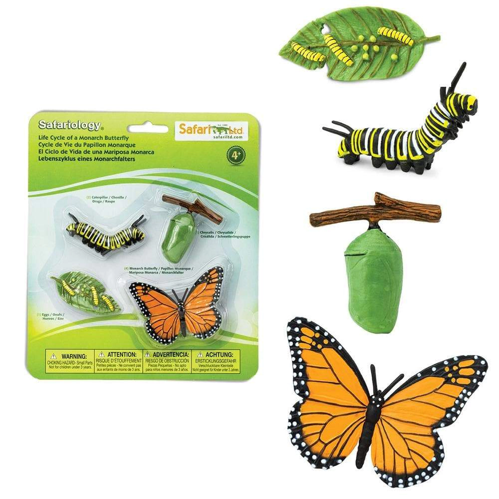 Safari Ltd. - Life Cycle of a Monarch Butterfly- Miniature Lifecycle Collection