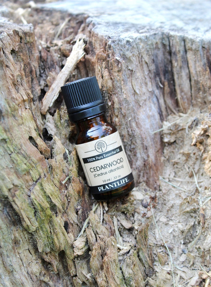 Plantlife Cedarwood Essential Oil