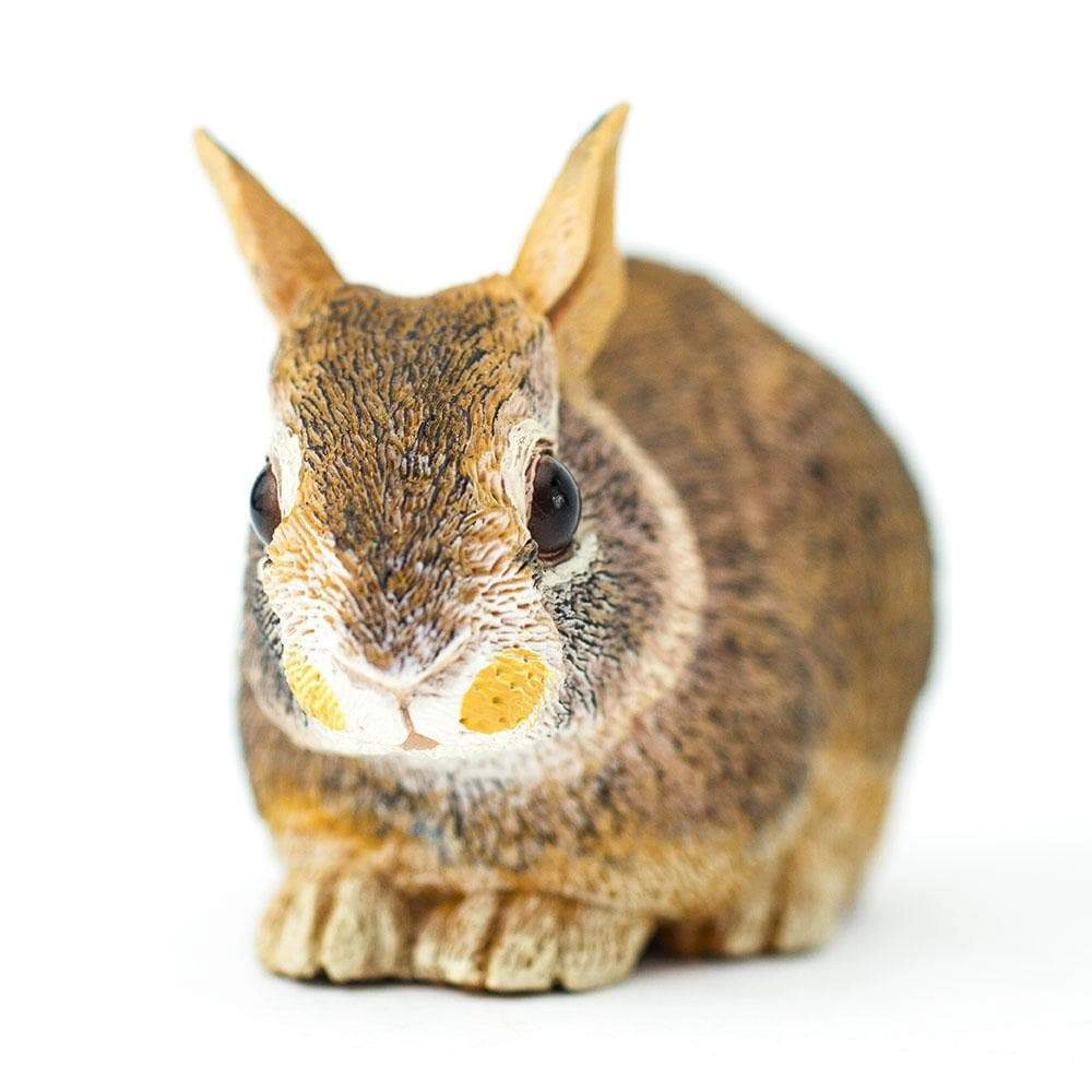 Safari Ltd. - Eastern Cottontail Rabbit Baby Kids Toy Figure