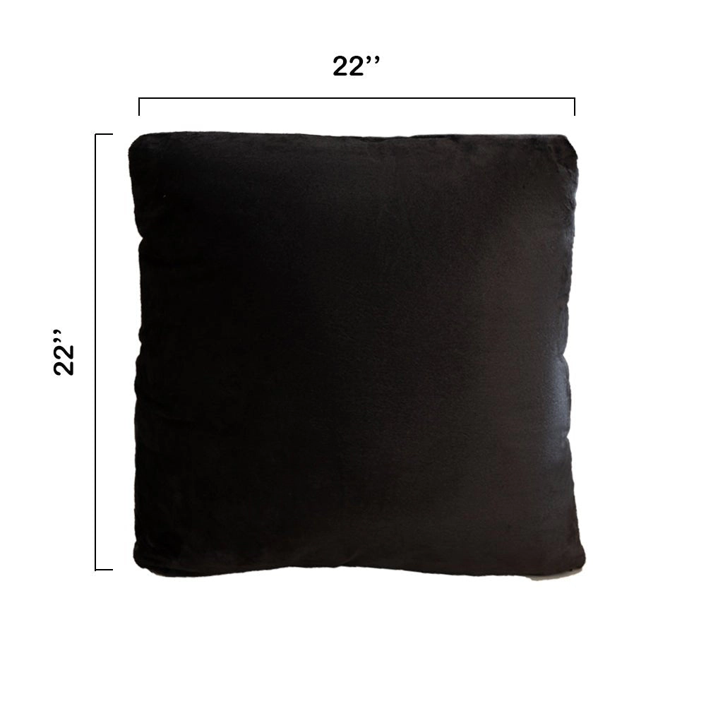 Cheer Collection Velour Accent Throw Pillow, 22 x in, Set of 2
