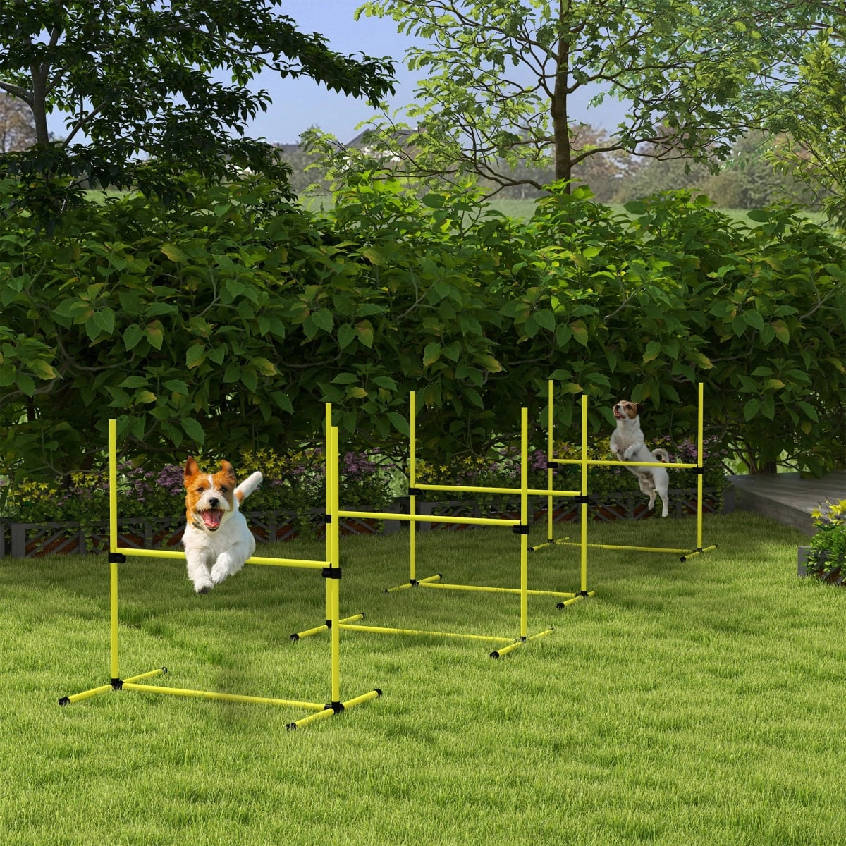 212 Main 4 Piece Paw Hut Dog Agility Training Set with Adjustable Height Jump Bars Carry Bag - Yellow