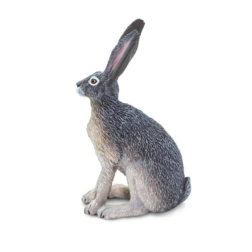 Safari Ltd. - American Desert Hare Kids Toy Figure
