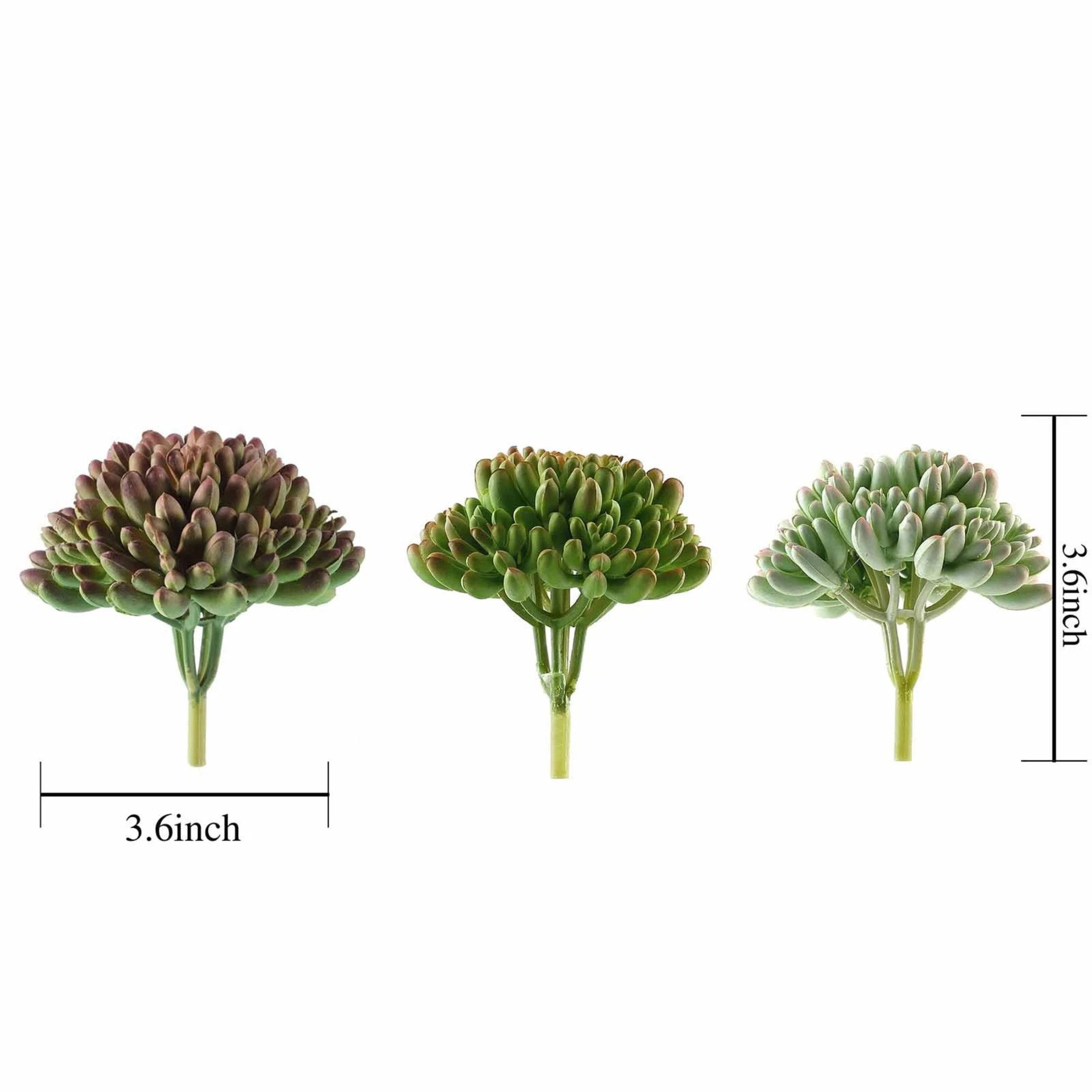 Home Collection Set of 3 4-Inch Artificial Jelly Bean Succulent Picks