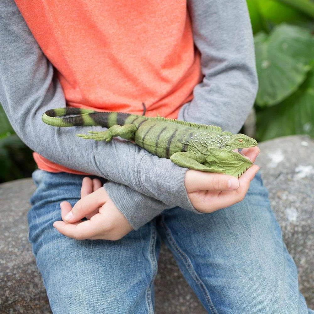 Safari Ltd. - Iguana Kids Toy Figure