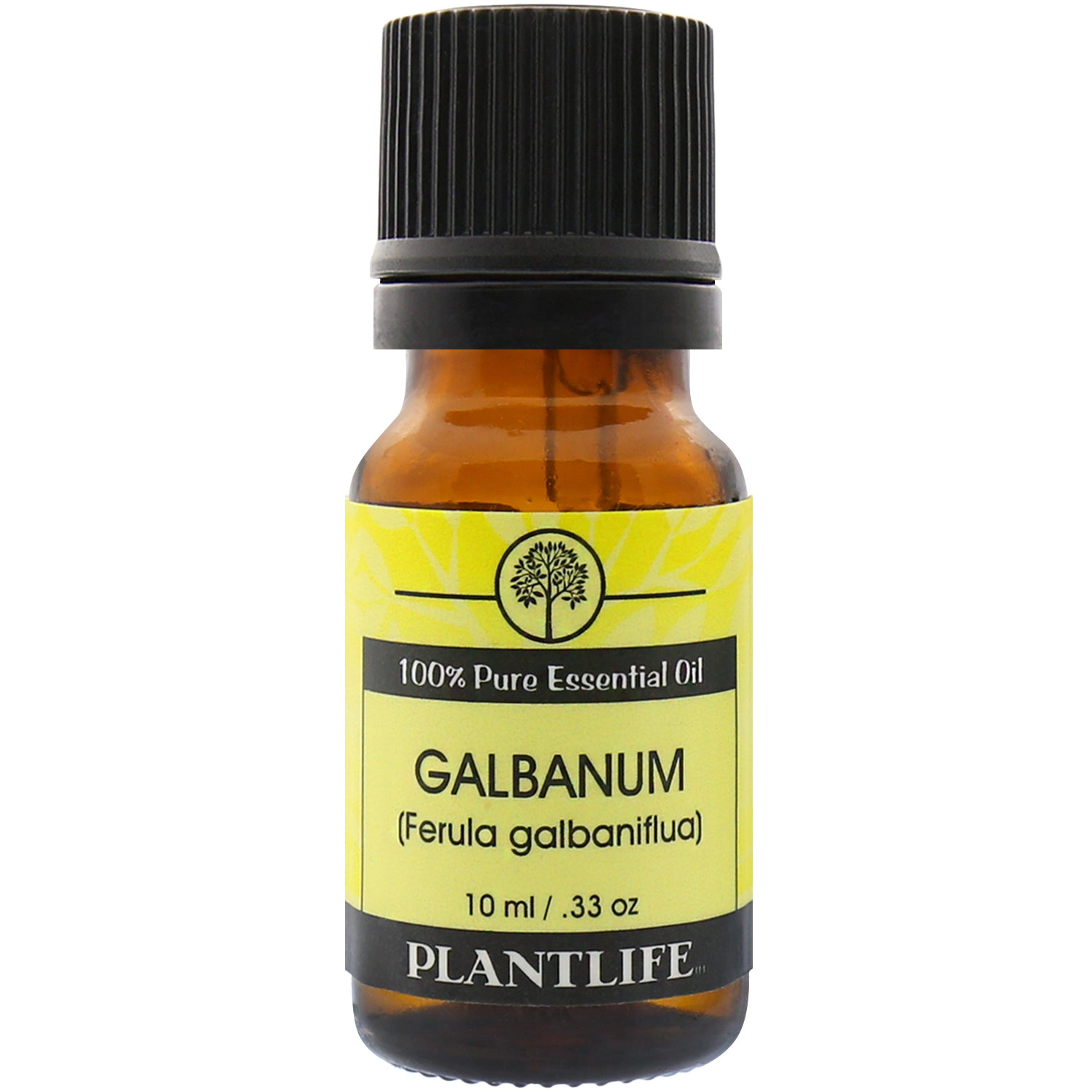 Plantlife Galbanum Essential Oil