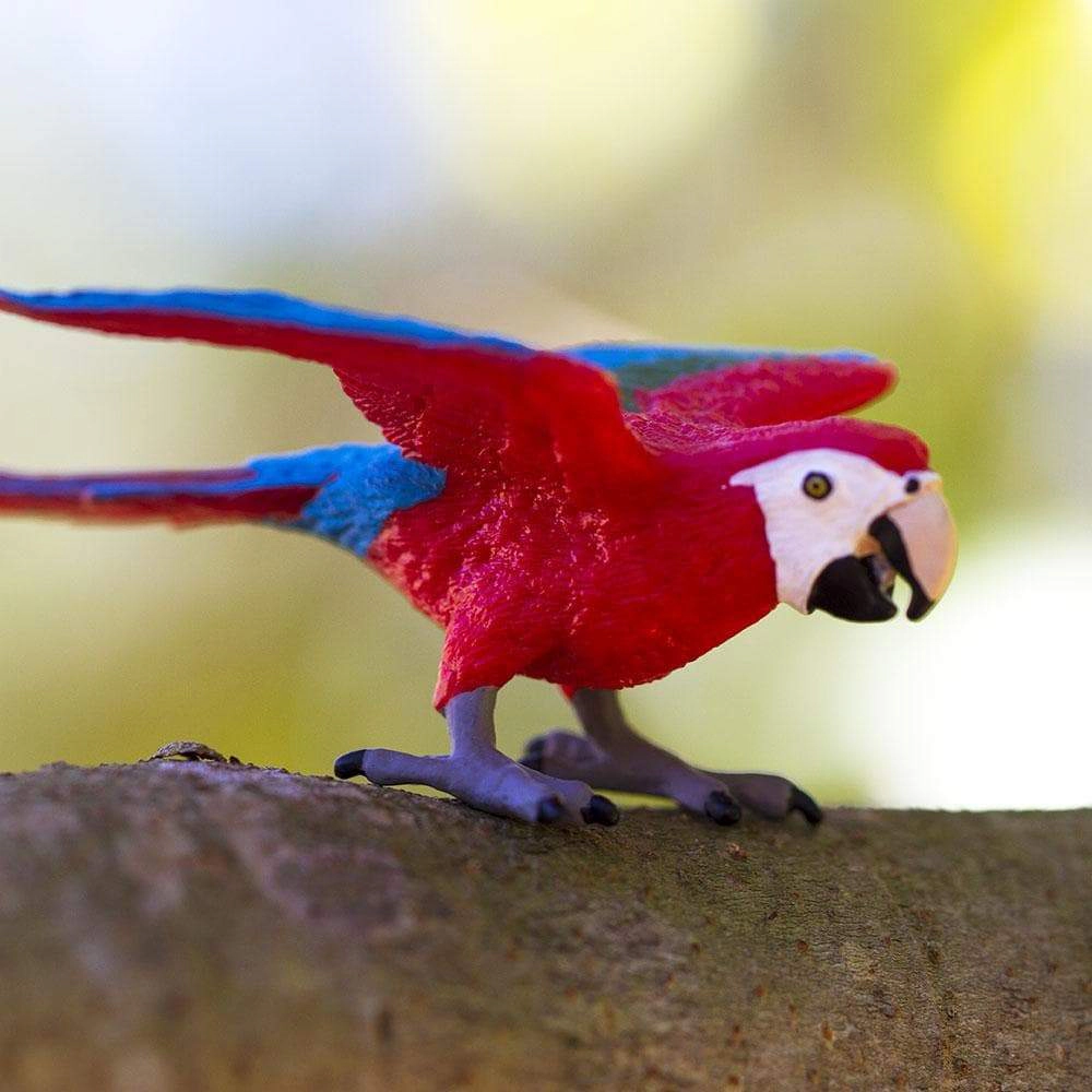 Safari Ltd. - Green-winged Macaw Kids Toy Figure