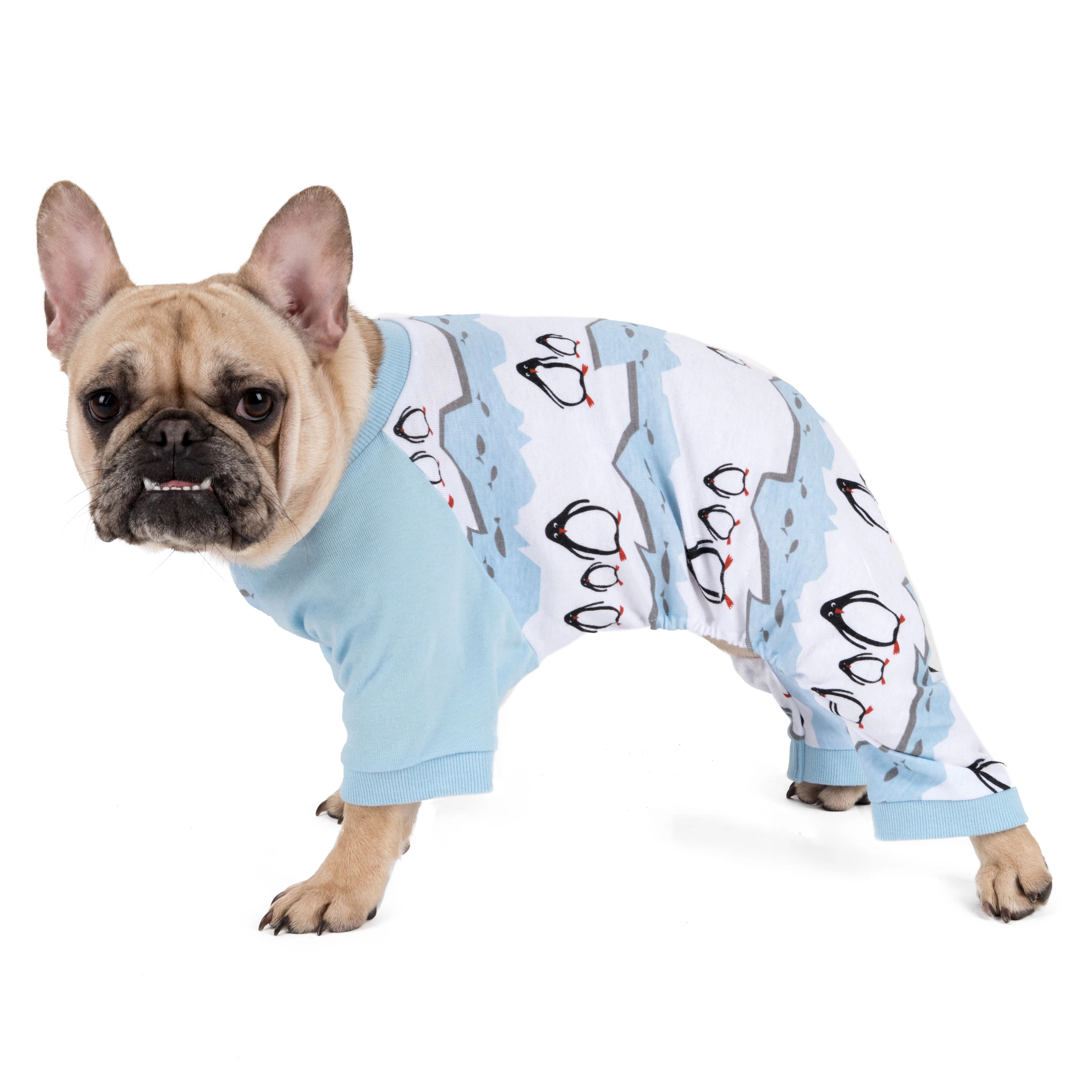 Leveret Dog Cotton Print Holiday Pajamas