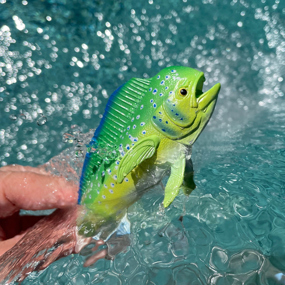 Safari Ltd. - Mahi-Mahi Fish Kids Toy Figure