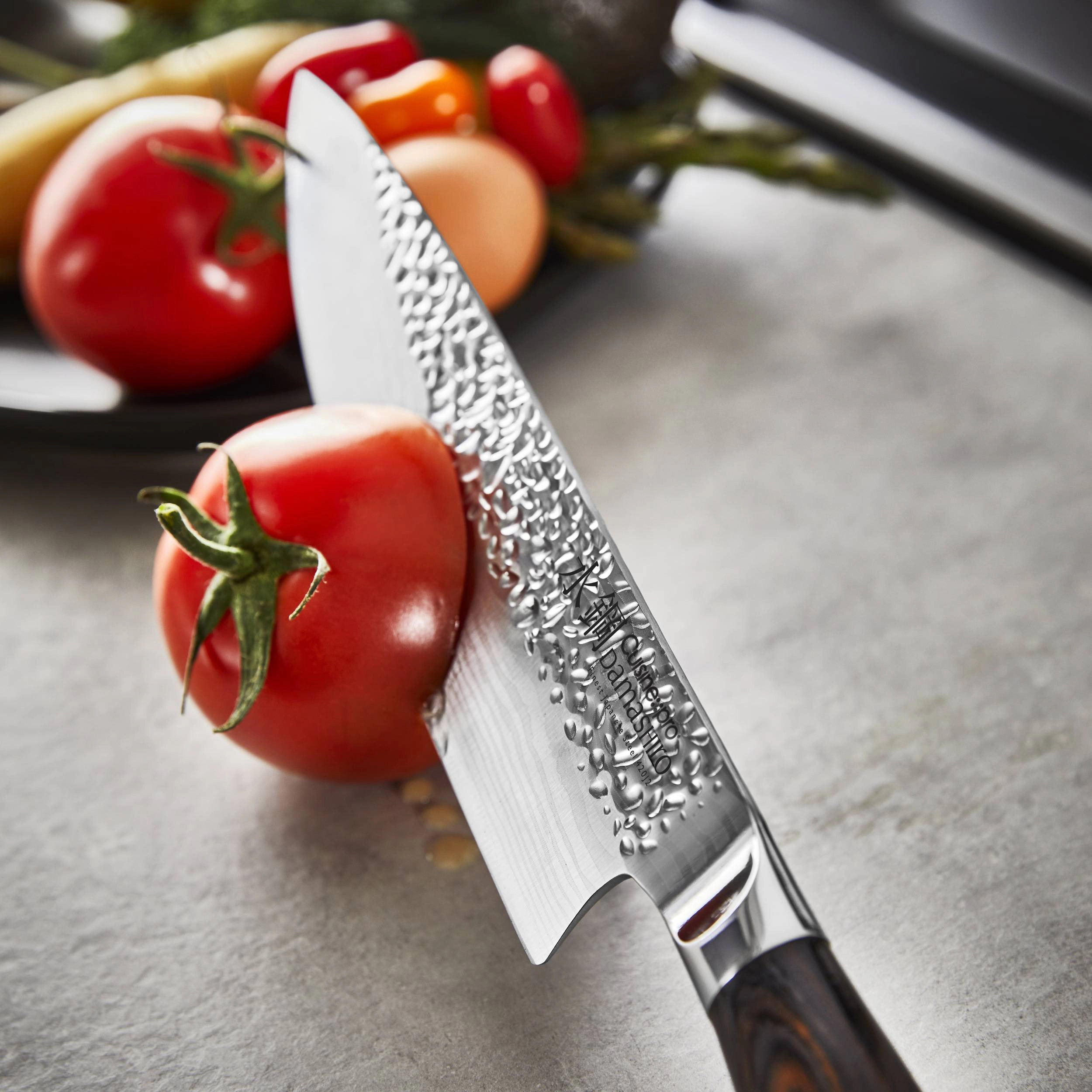 Cuisine::pro® Damashiro EMPEROR® Hisa Knife Block Piece