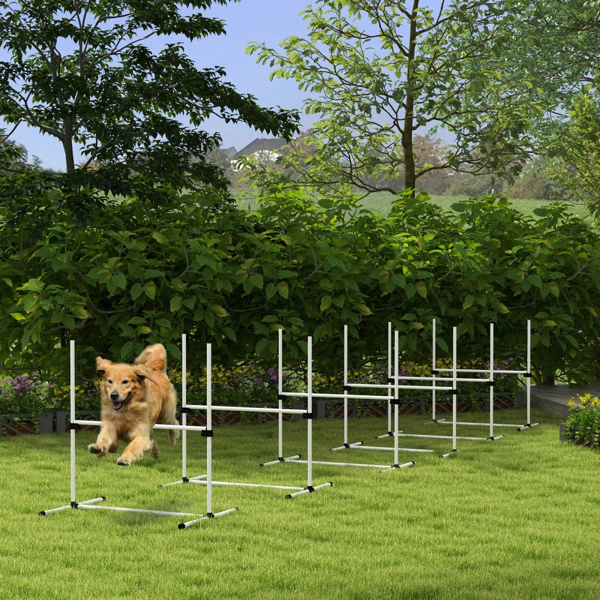 212 Main Paw Hut 6 Piece Dog Agility Set with Adjustable Height Jump Bars, Carry Bag & Displacing Top Bar - White