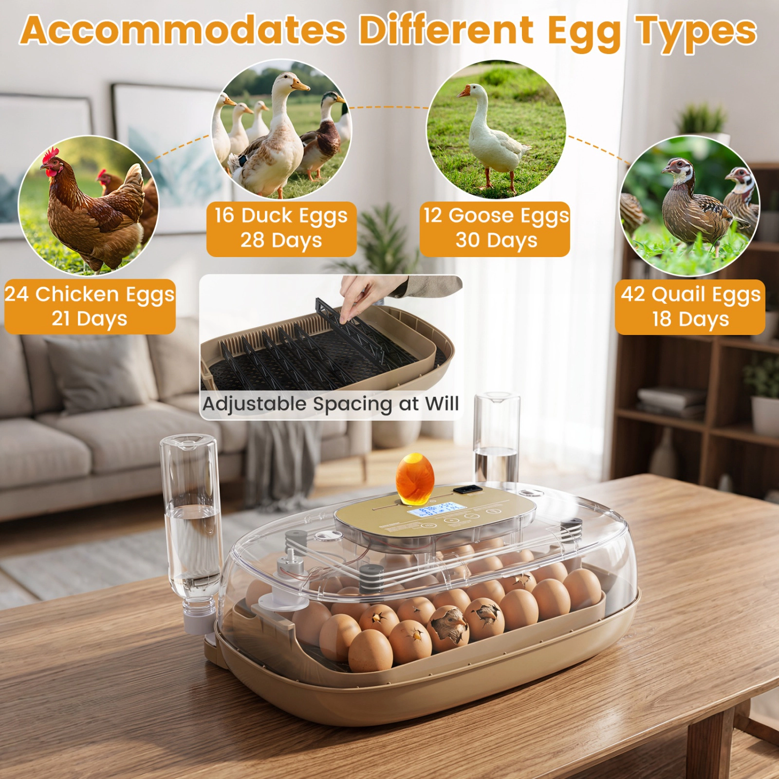 SUGIFT Coffee Egg Incubator for 21 Chicken Eggs with Automatic Turning Humidity Control and Candler