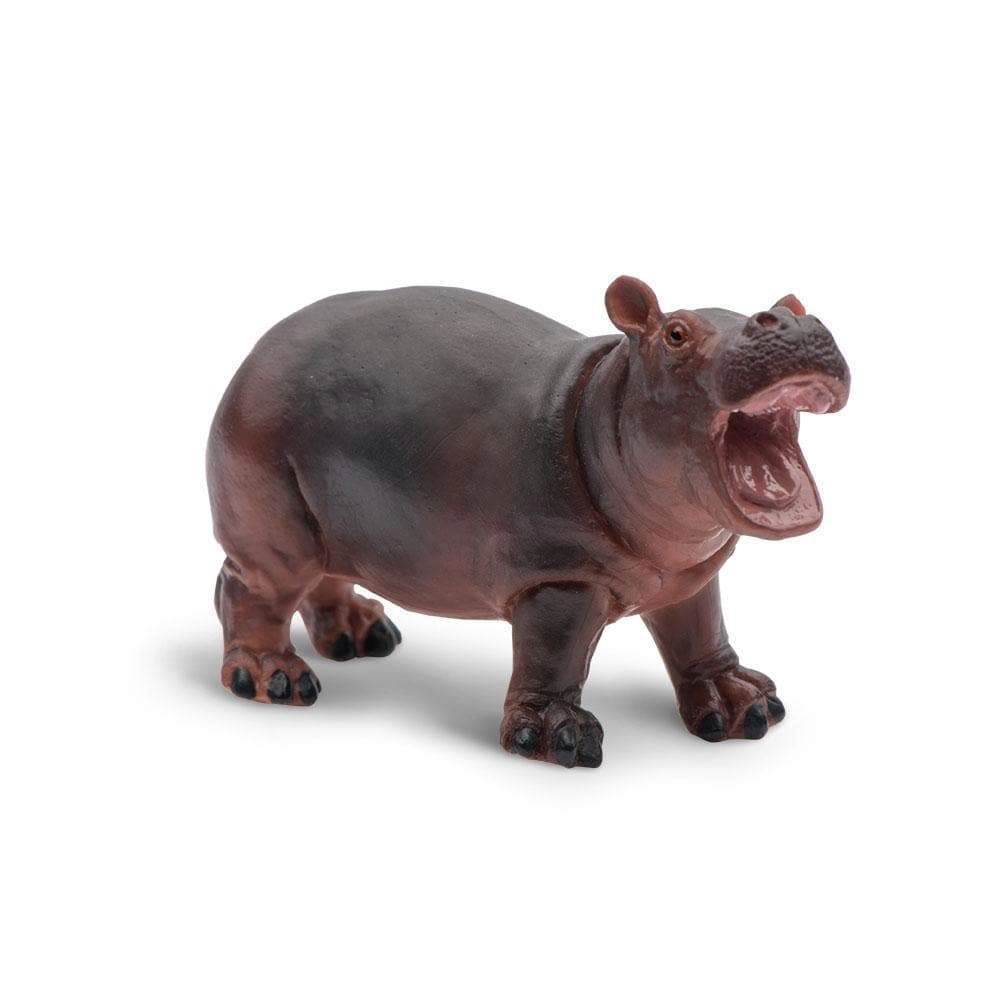 Safari Ltd. - Baby Hippo Kids Toy Figure