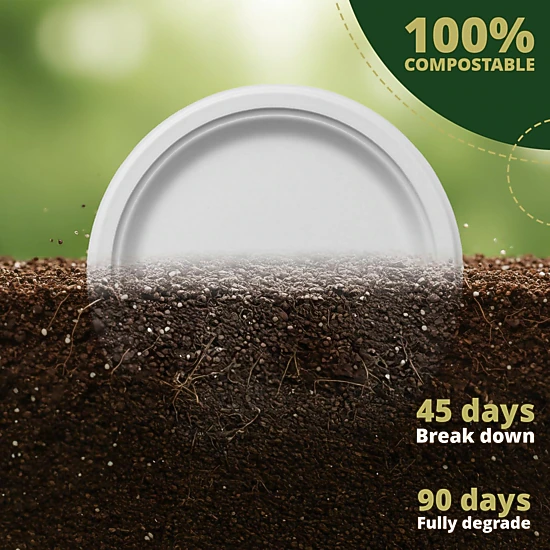 Naturawave Heavy-Duty Compostable Paper Plates, 9-Inch, 125 Count ...