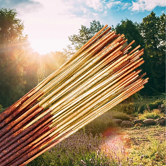 Wild Berry Sunshine Incense Sticks - 100 Count Hand-Dipped Aromatic ...