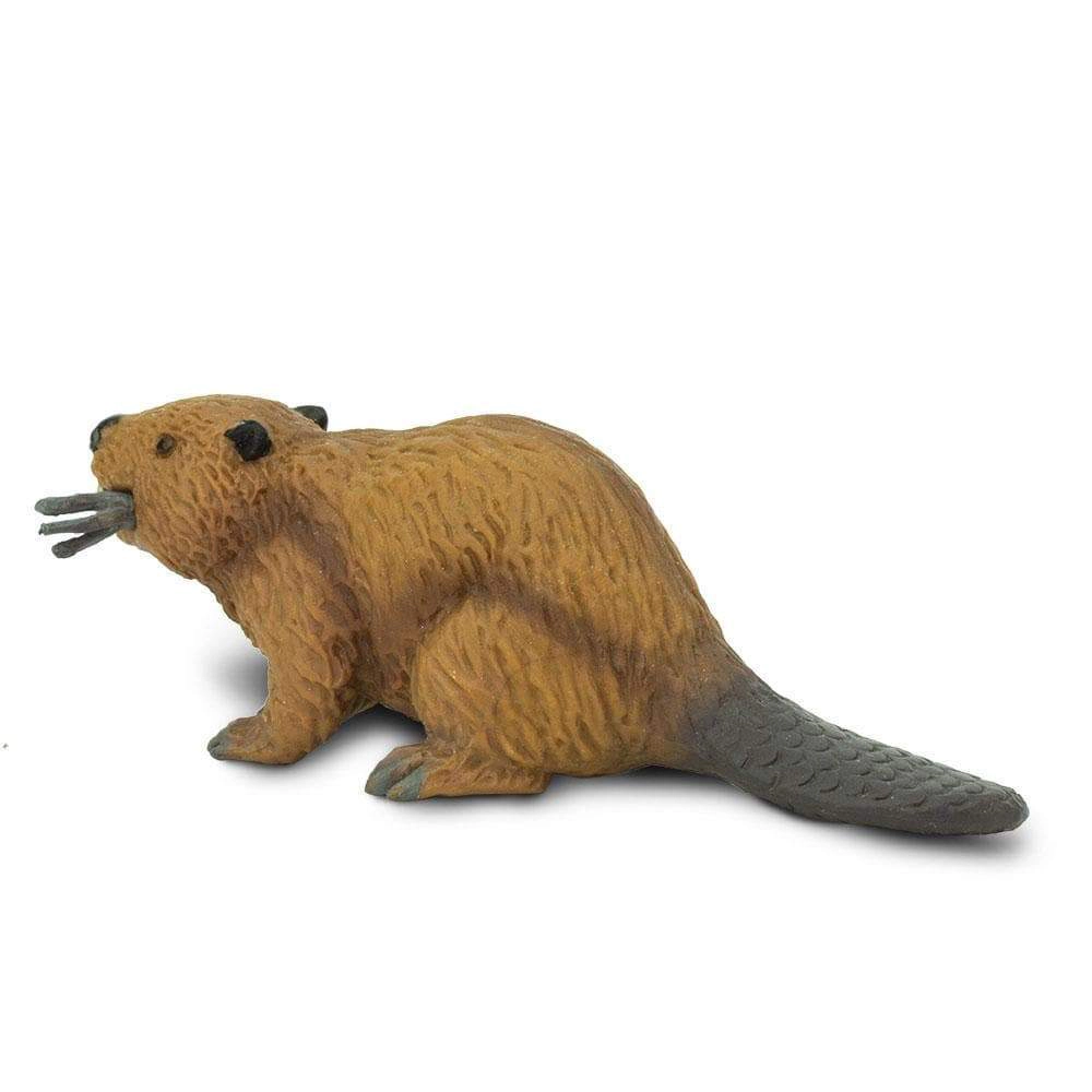 Safari Ltd. - Beaver Kids Toy Figure