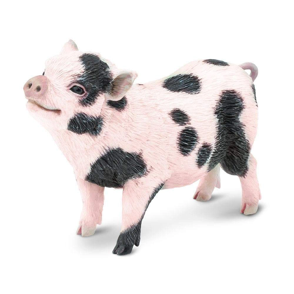 Safari Ltd. - Pot Bellied Pig Kids Toy Figure