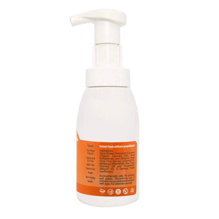 Plantlife Pumpkin Spice Hand & Body Foam Soap