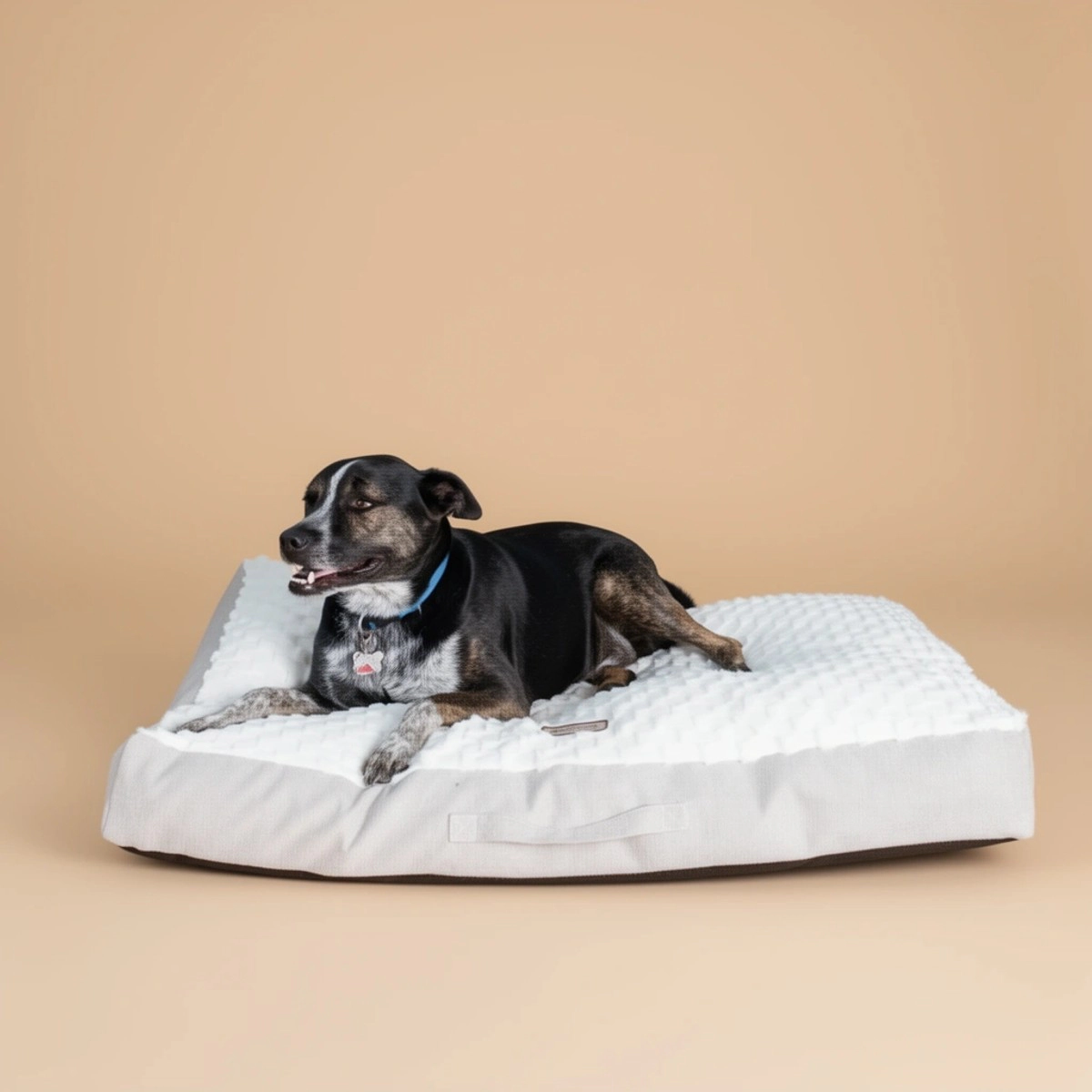 Armarkat M12HMB-MB-L Crate Mat with Poly Fill Cushion & Removable Cover Dog Bed - Large