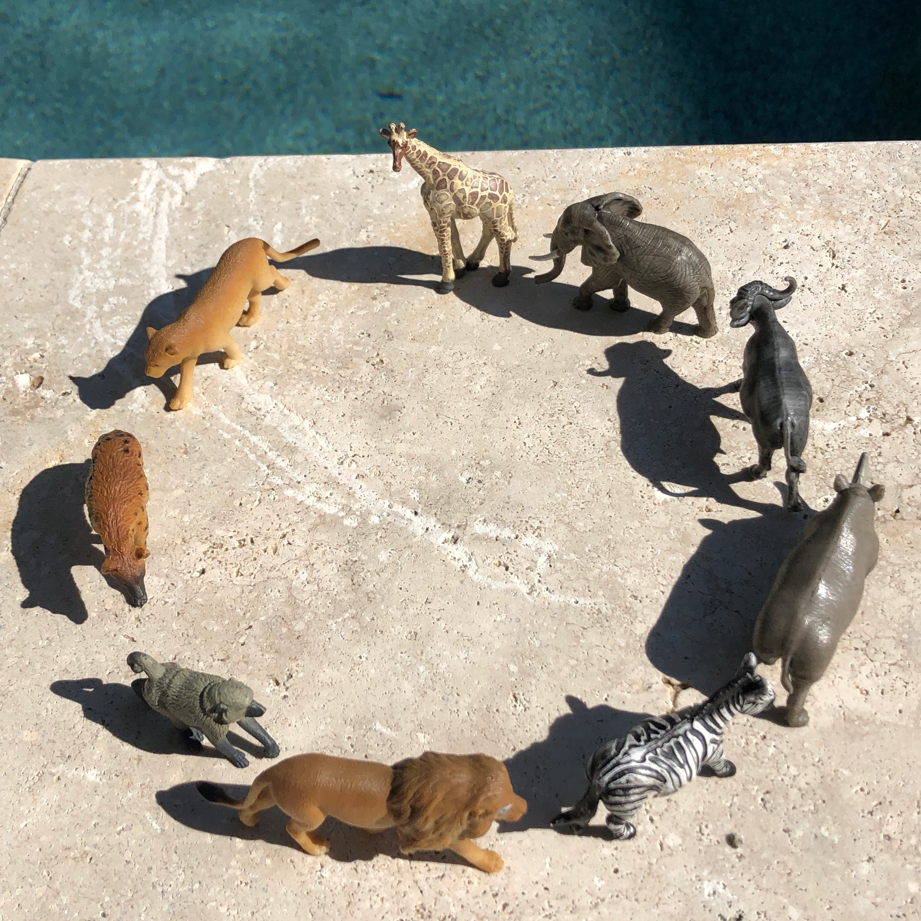 Safari Ltd. - South African Animals TOOB - contains 9 Mini Figurines