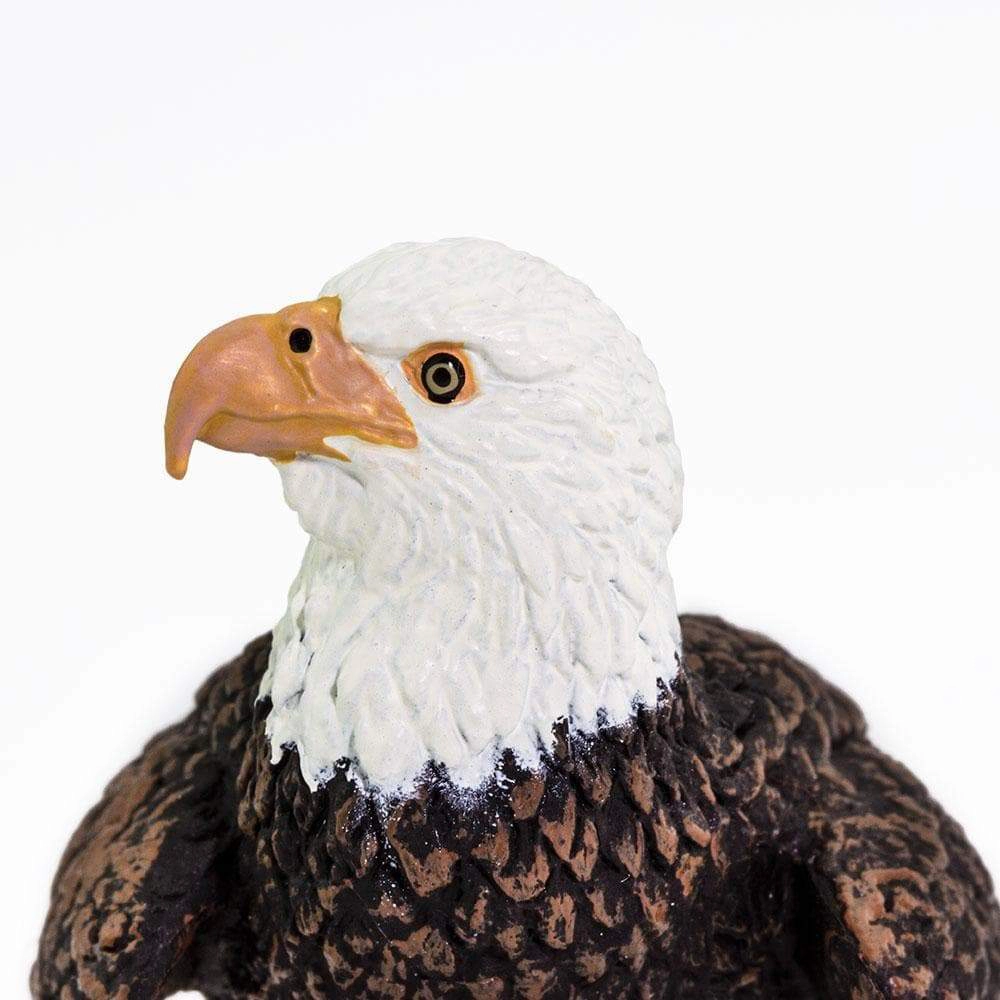 Safari Ltd. - Bald Eagle Kids Toy Figure