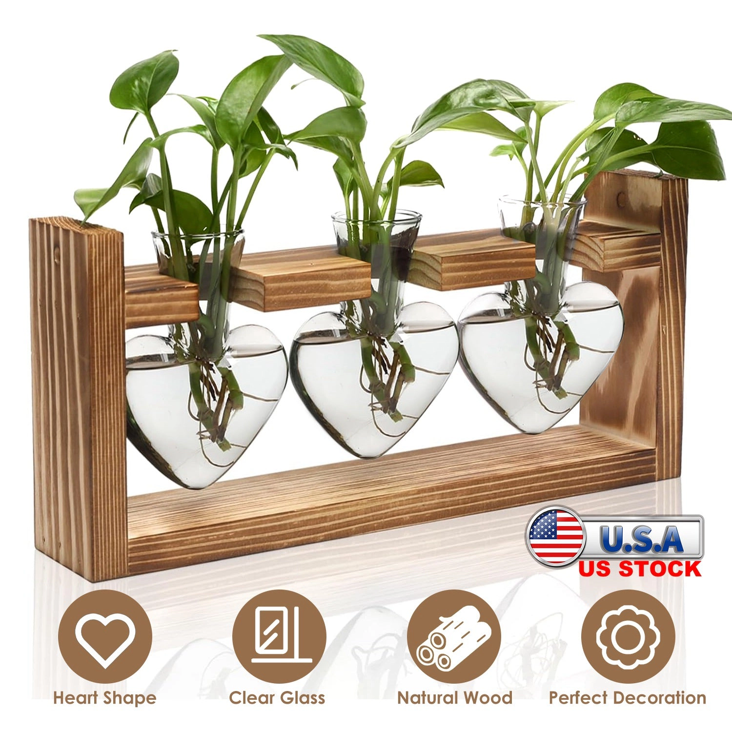 GBruno Heart-Shaped Plant Propagation Station
