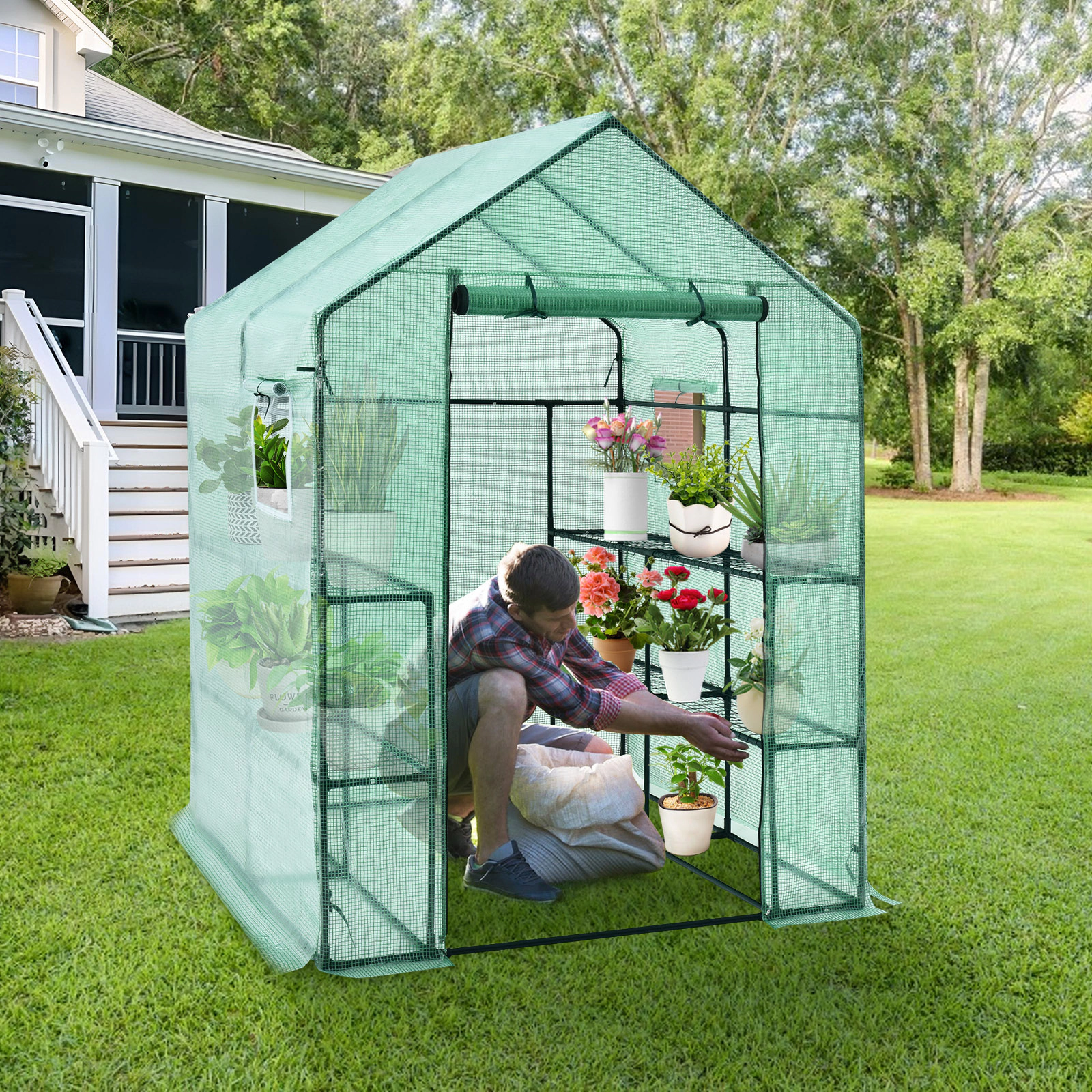 SUGIFT Walk-in Greenhouse 55 x 57 77 with Observation Windows and Roll-up Door