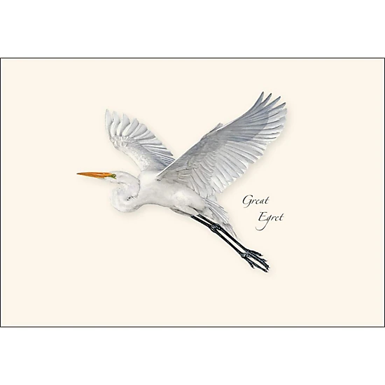 Earth Sky + Water Egret Assortment Notecard Set - 8 Blank 3.5 x 5 in Cards with Envelopes