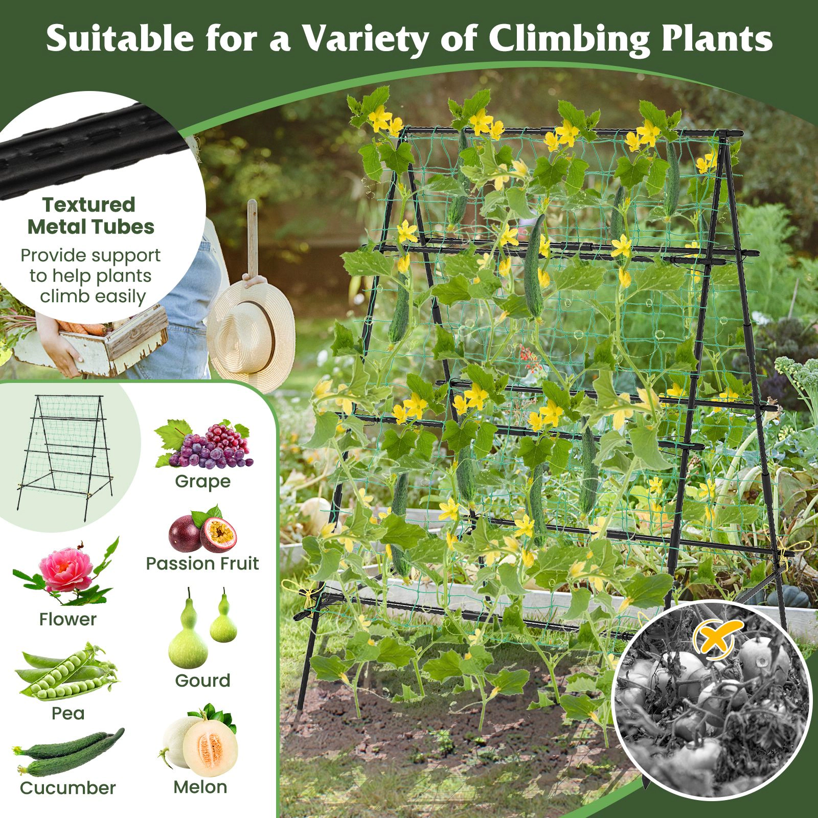 SlickBlue Black PE-Coated Metal Plant Support Trellis with Garden Netting