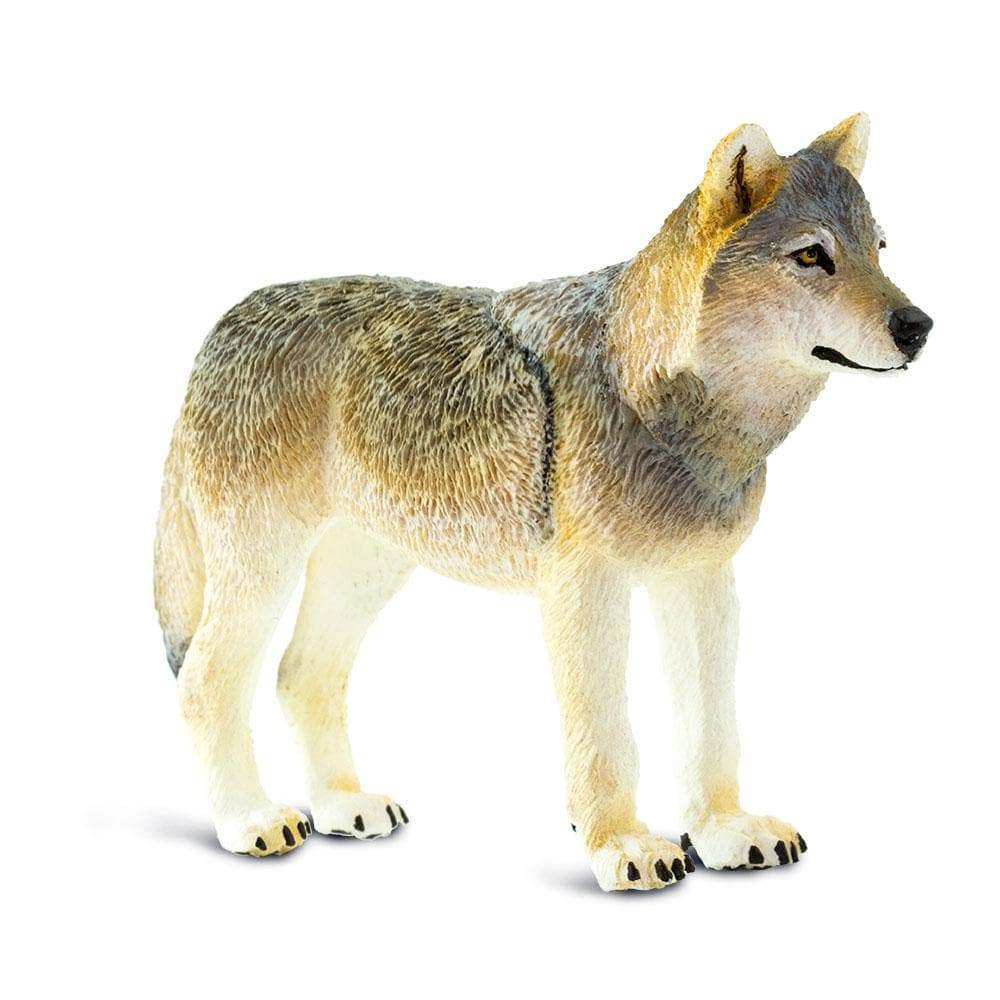Safari Ltd. - Gray Wolf Kids Toy Figure